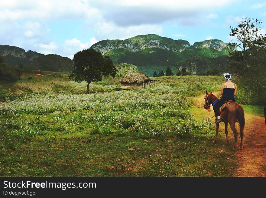 Man Riding Brown Horse Near Green Field during Daytime