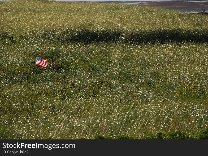 United States Flag on Green Grass Field