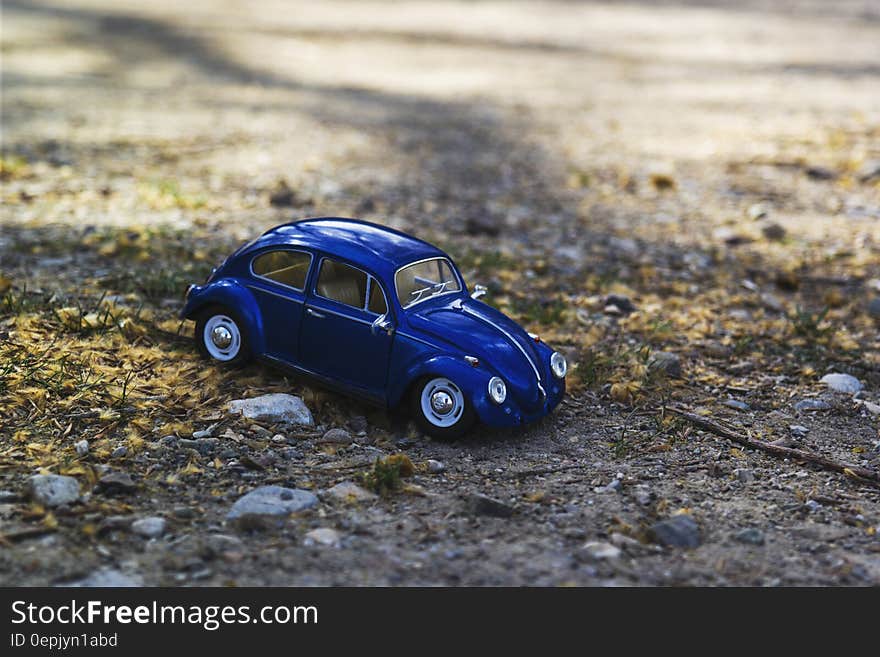 Blue Beetle Car on Yellow and Green Grass