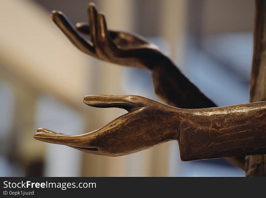 Red Wooden Hand Statue