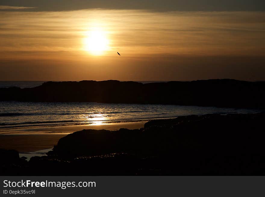 Blue Seashore during Sunset