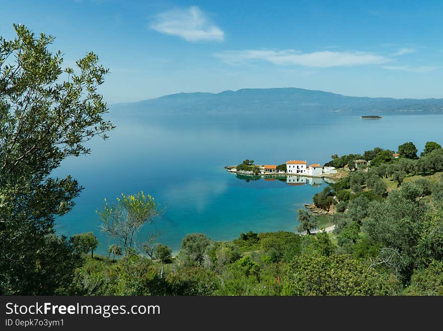 Green Leaf Trees Across White and Beige Roof Houses Across Sea during Daytime