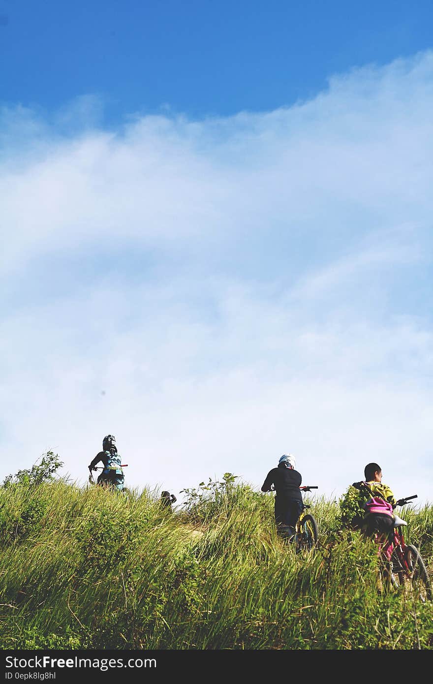 People on Grasses during Daytime