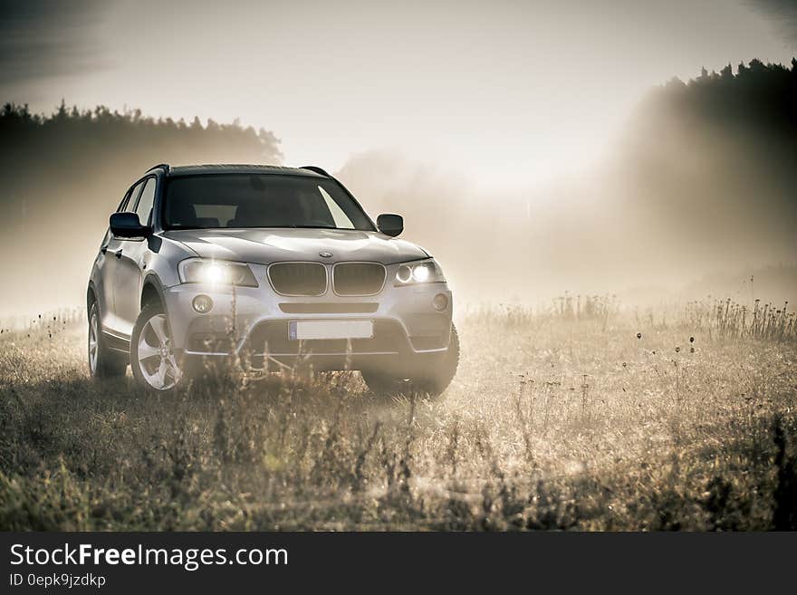 Silver Bmw Suv