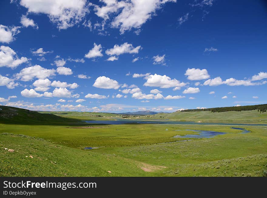 Green Fields Under Blue Cloudy Sky