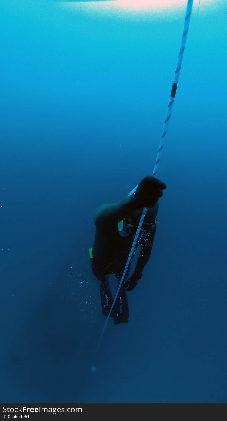 Person Diving Underwater