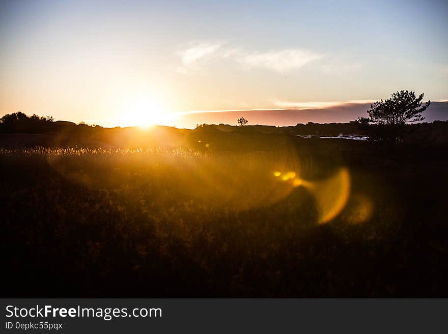 Field during Sunrise