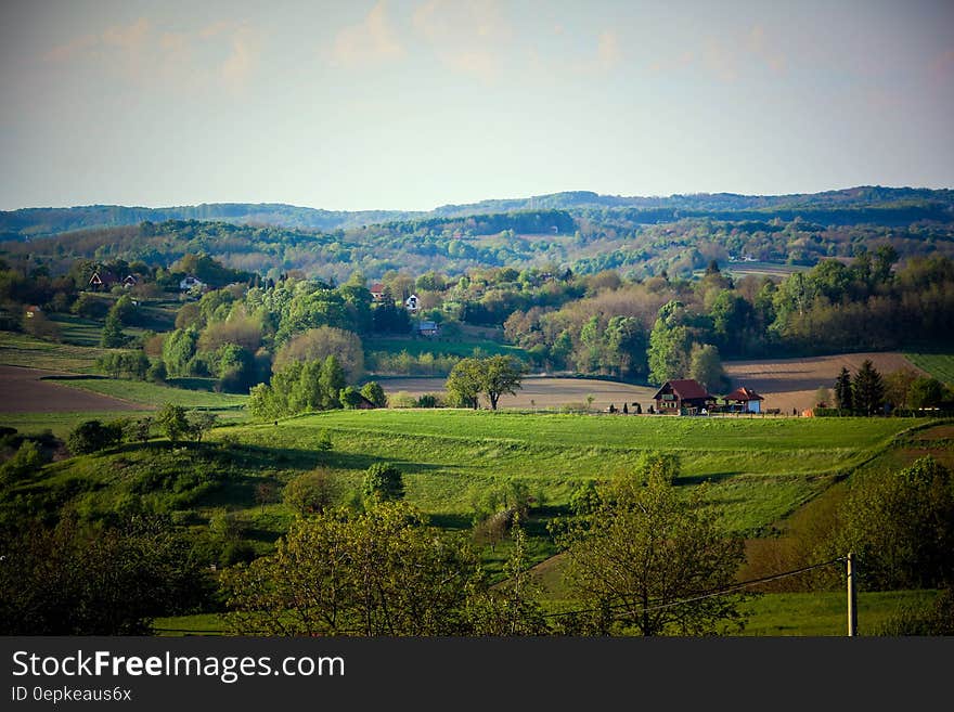 Green Grass Field With Green Leaf Tree Under Grey Sky