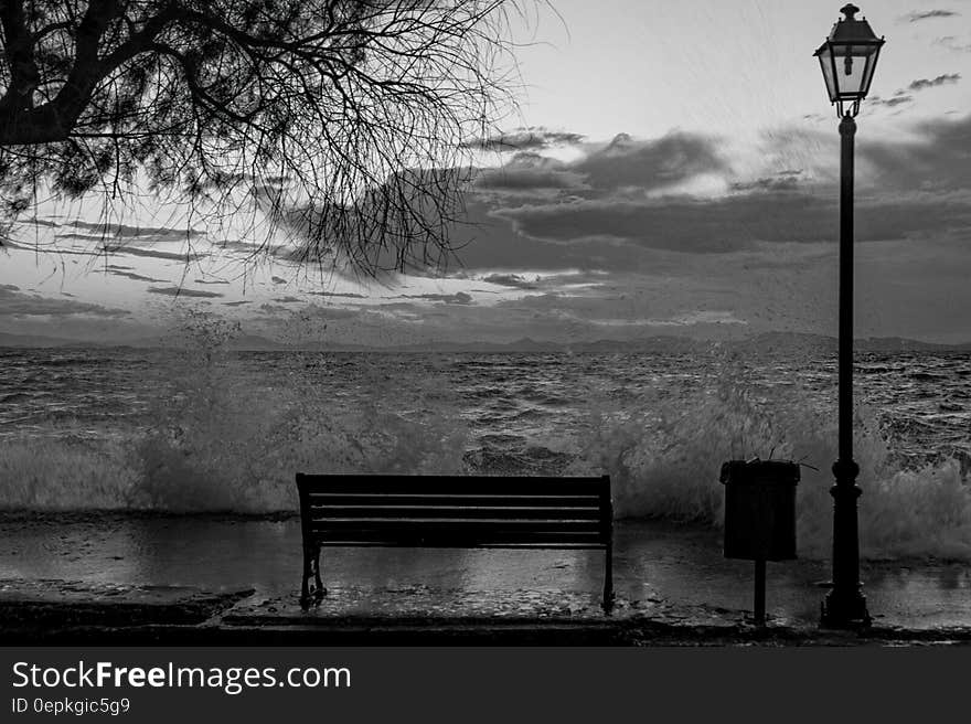 Grayscale Photo of Seaside