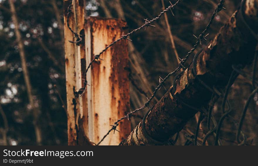 Close up of barbed wire fencing on worn wooden post outdoors. Close up of barbed wire fencing on worn wooden post outdoors.