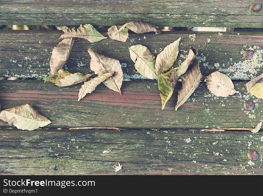 Wilted Leaves on Brown Wooden Surface