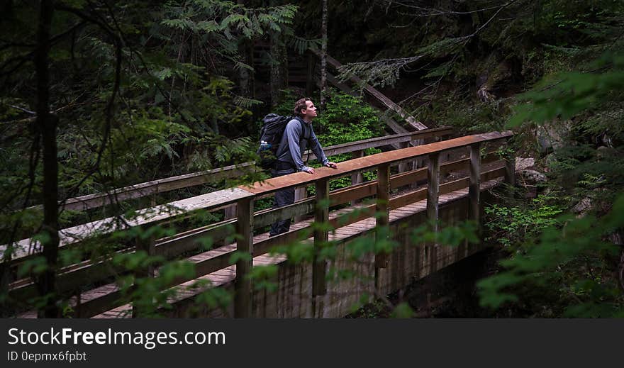 Hiker standing on wooden bridge in forest on sunny day. Hiker standing on wooden bridge in forest on sunny day.