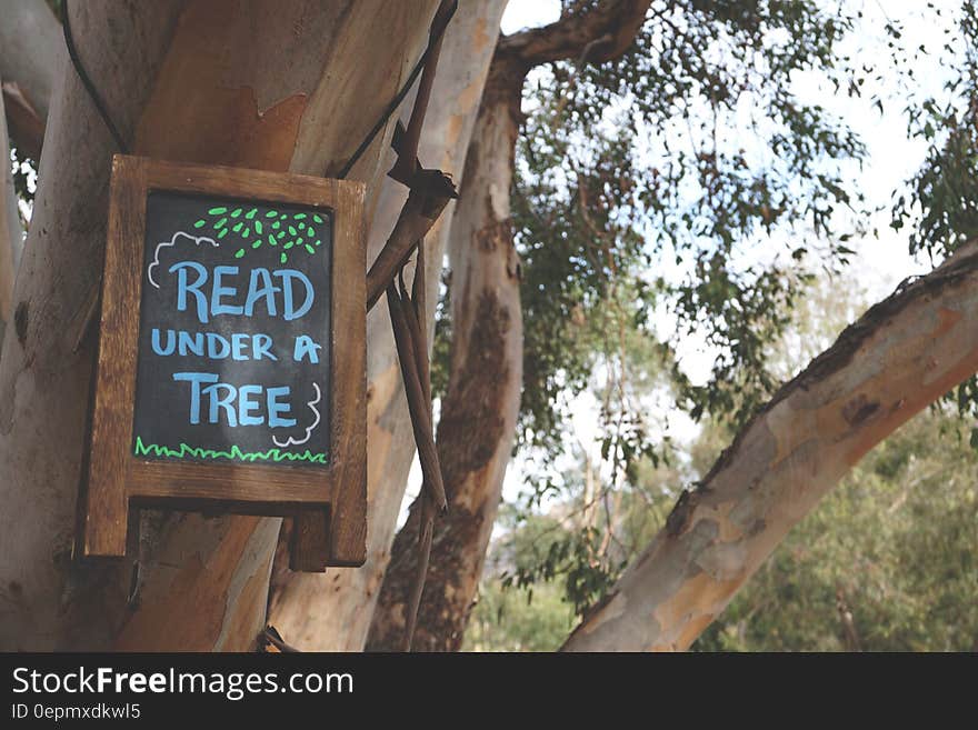 Read Under a Tree Signage Hanging on Branch Tree