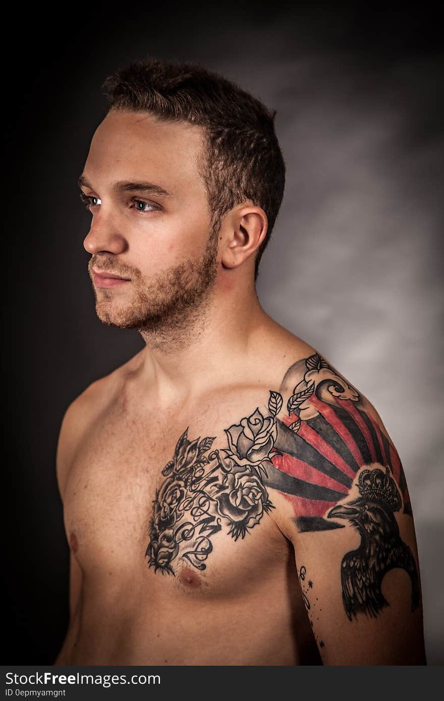 Man With Rose and Bird Free Hand Tattoo