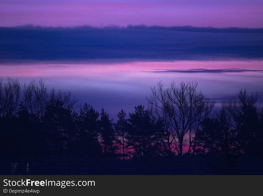 Sunset in purple skies over trees in countryside. Sunset in purple skies over trees in countryside.