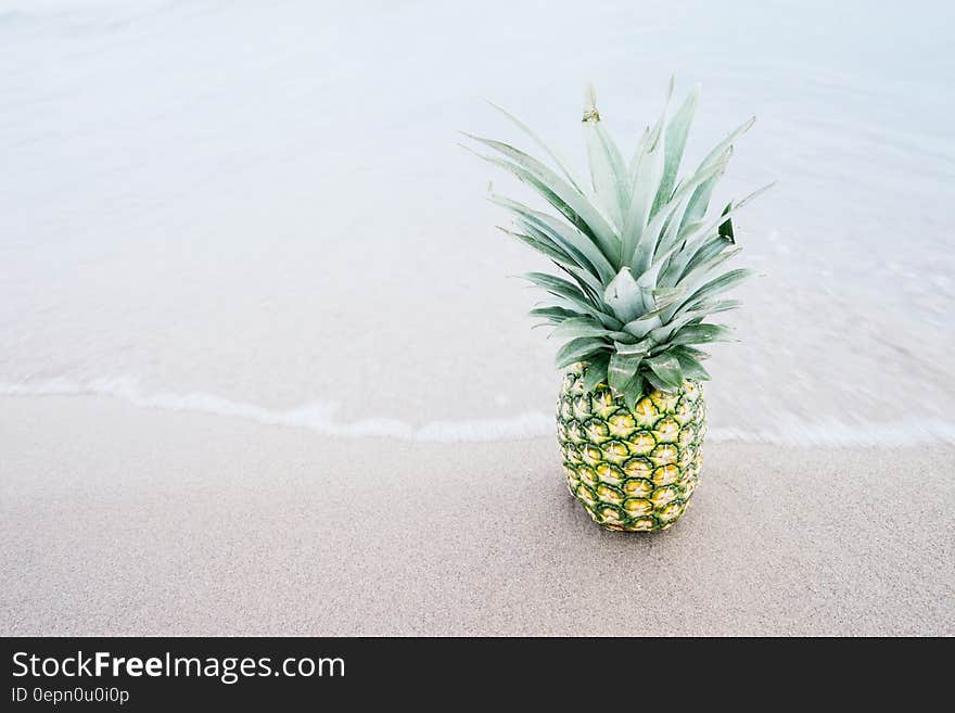 Pineapple Fruit on Shore