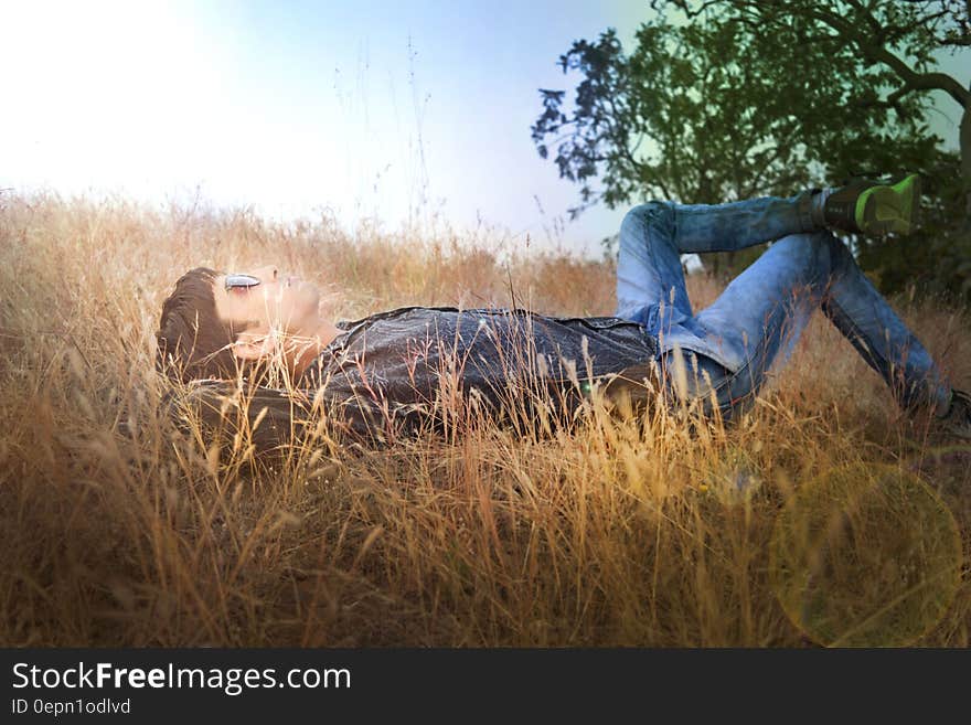 Man laying in golden grasses in sunny field. Man laying in golden grasses in sunny field.