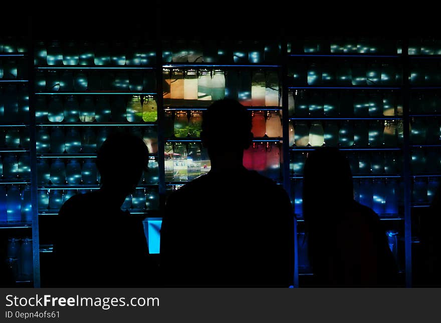 Silhouette of people standing in front of panel of lights.