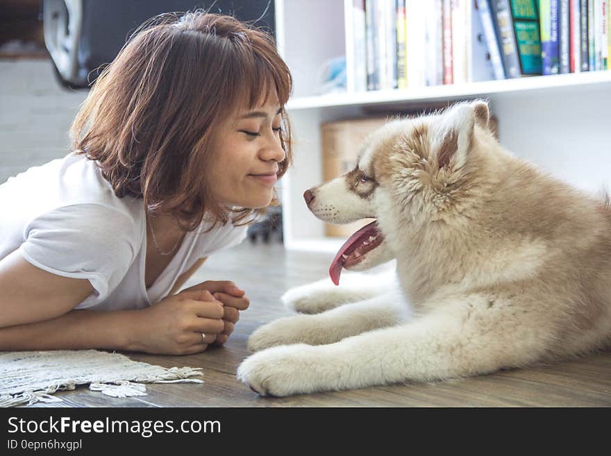 Happy young woman lying on floor at home playing with pet husky dog. Happy young woman lying on floor at home playing with pet husky dog.