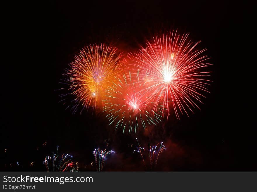 A blast of fireworks on the night sky.