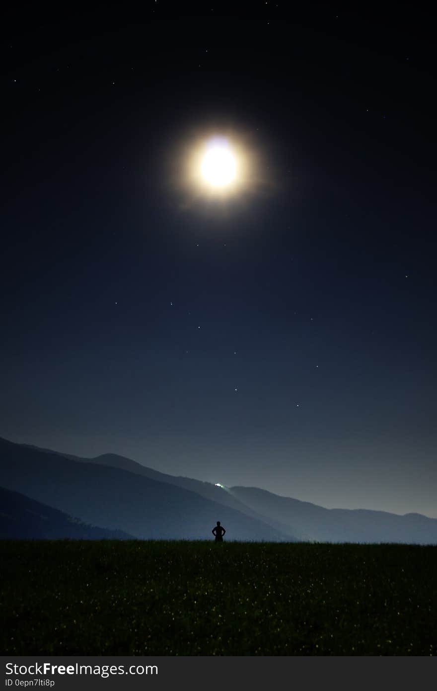 Silhouette of Person in Green Grass Under the Sun during Daytime