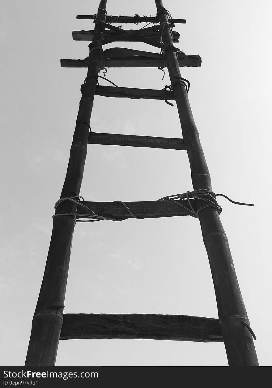 Black Bamboo Ladder during Daytime