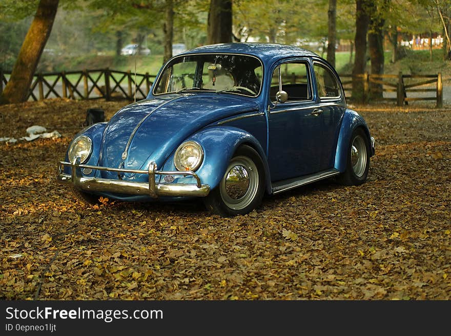 Shiny blue classic car, VW Beetle, left on Autumn leaves in parkland fenced and suitable for both adult and children's recreation. Shiny blue classic car, VW Beetle, left on Autumn leaves in parkland fenced and suitable for both adult and children's recreation.