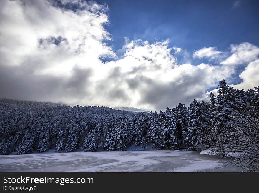 Scenic view of cloudscape over frozen forest in winter. Scenic view of cloudscape over frozen forest in winter.