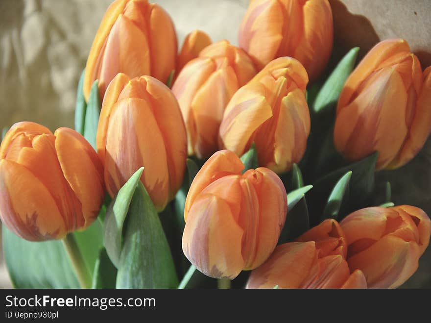 Orange and Yellow Petaled Flower Bouquet