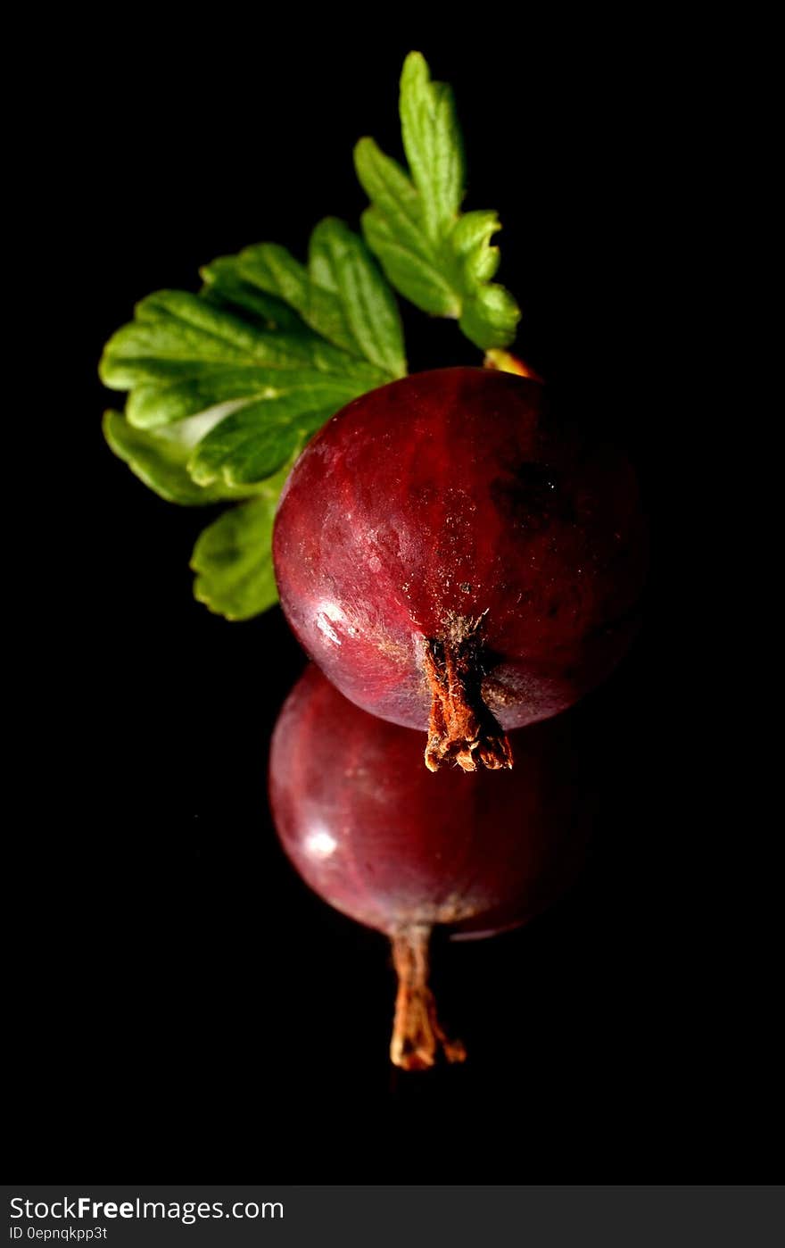 Onions With Green Leaves