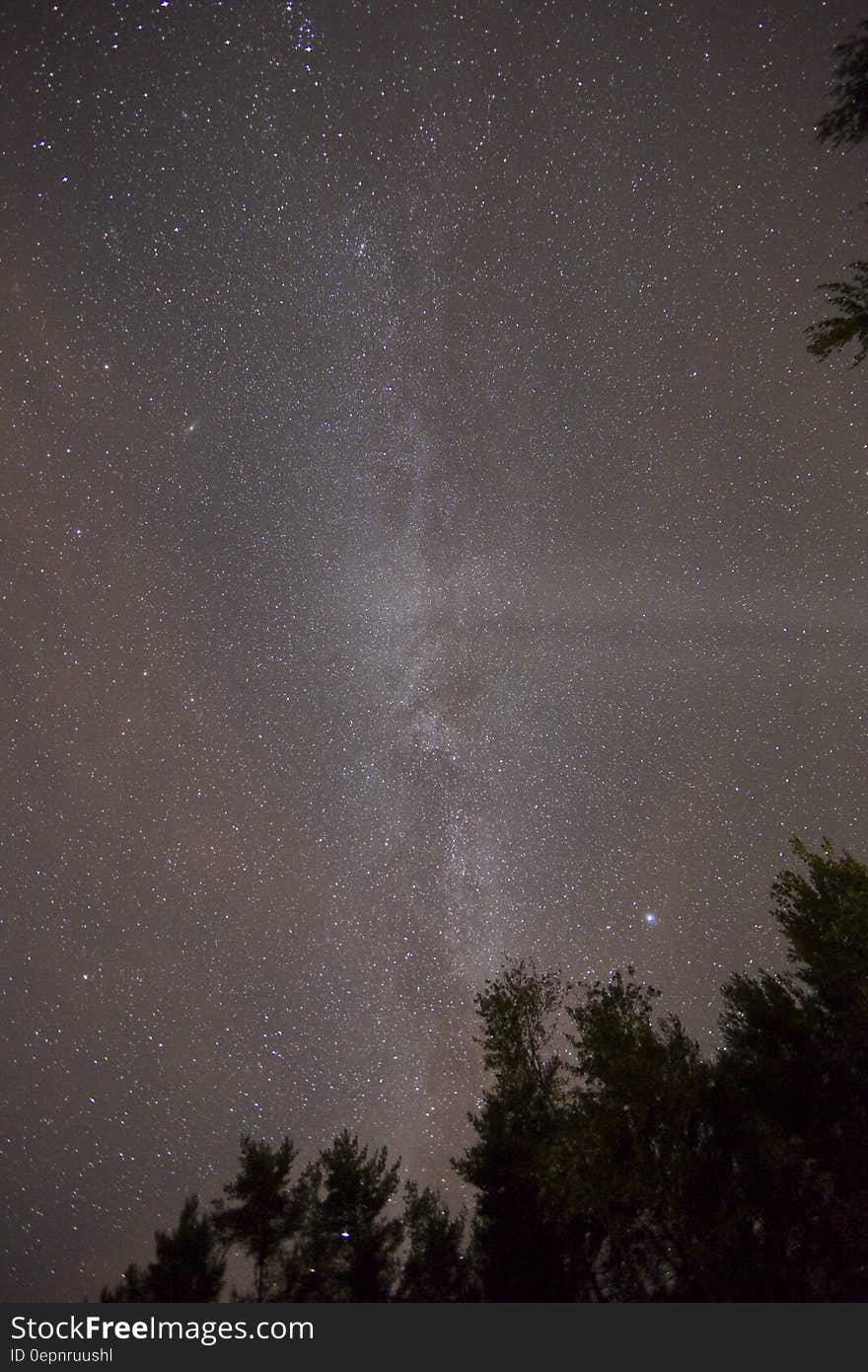 A view of crystal clear night sky and the Milky Way.