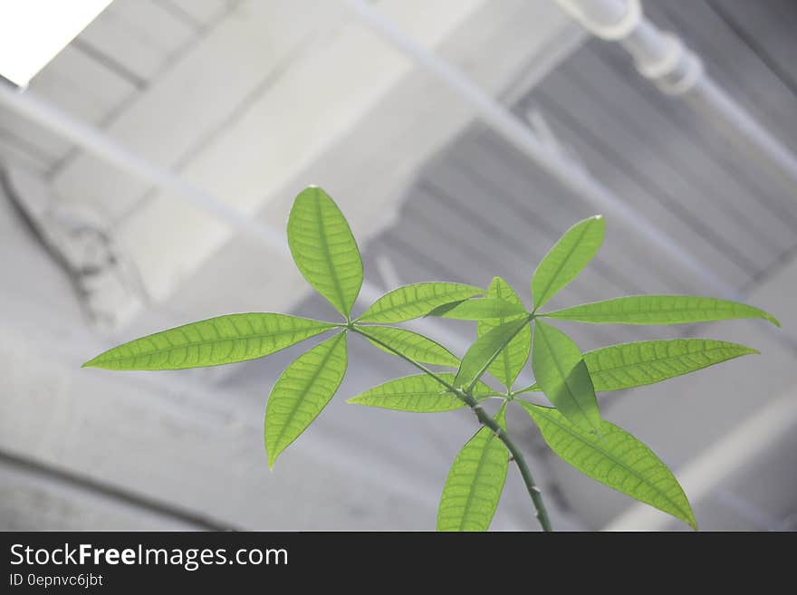 Green plant inside industrial building. Green plant inside industrial building.