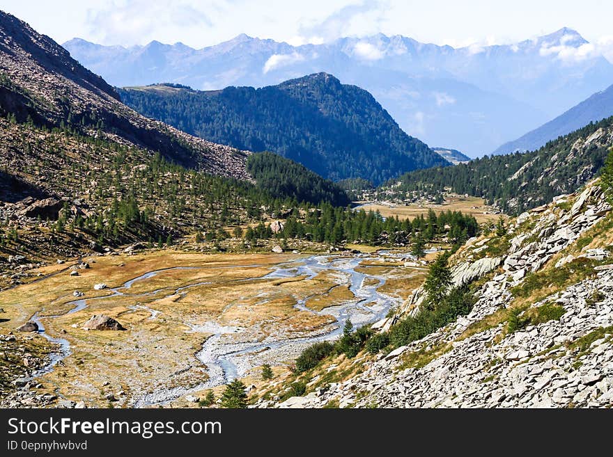 Green Trees on Mountain during Daytime