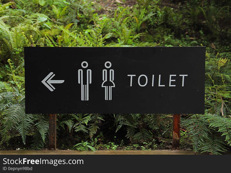 Toilet Signage Beside Green Leaf