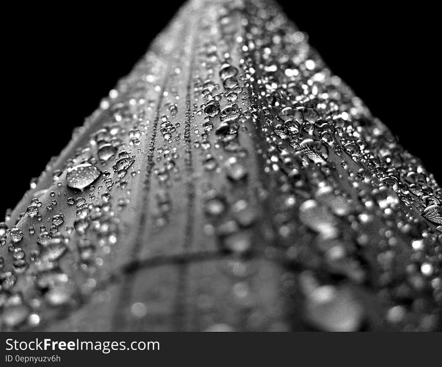 Water Droplets Macro Photograply