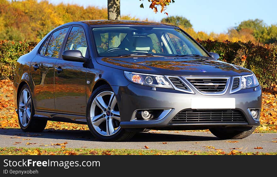 Silver Sedan Near Green Plants during Daytime