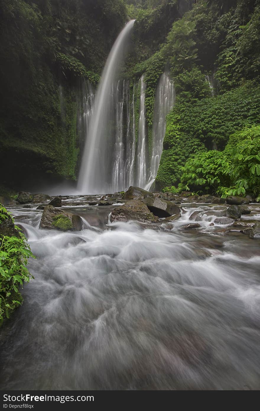 Water Falls Illustration