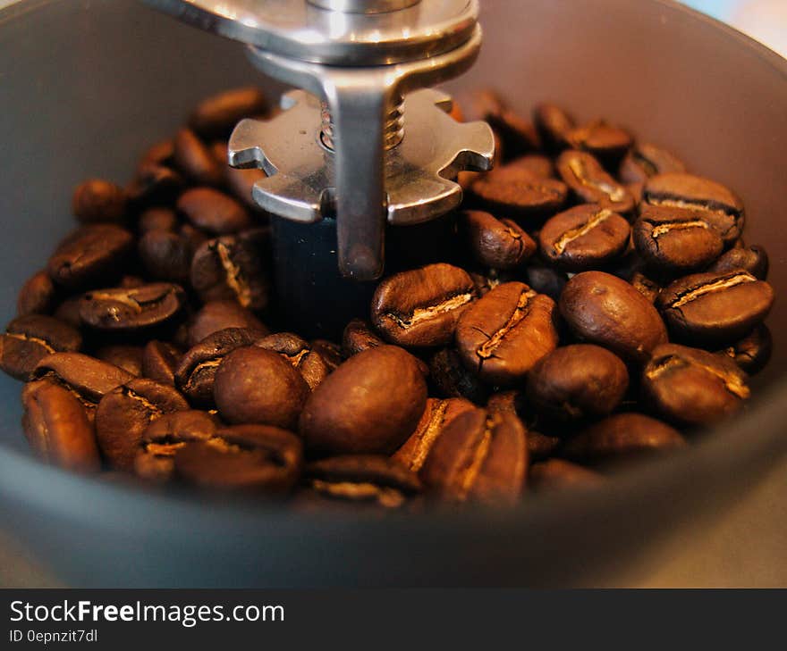 A coffee grinder close up with roasted coffee beans.