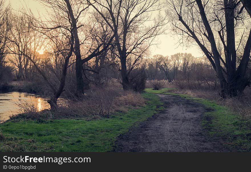 Empty trail through trees along waterfront at daybreak. Empty trail through trees along waterfront at daybreak.