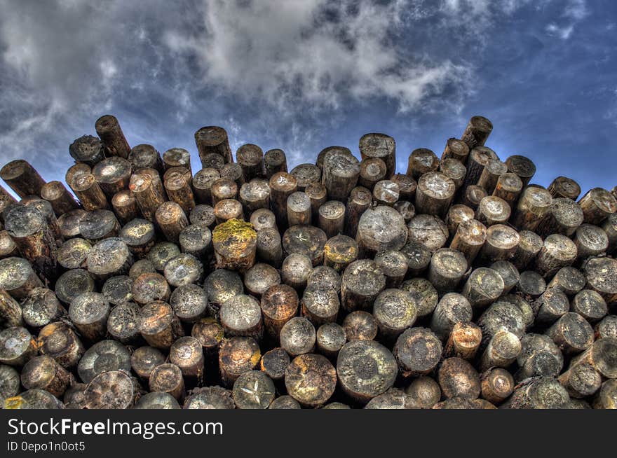 Pile of cut logs against blue skies on sunny day.