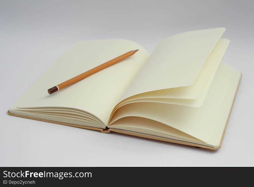 A pencil on a empty book, diary or a journal. A pencil on a empty book, diary or a journal.