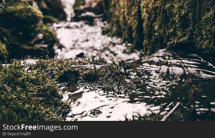 A small stream passing through mossy rocks. A small stream passing through mossy rocks.