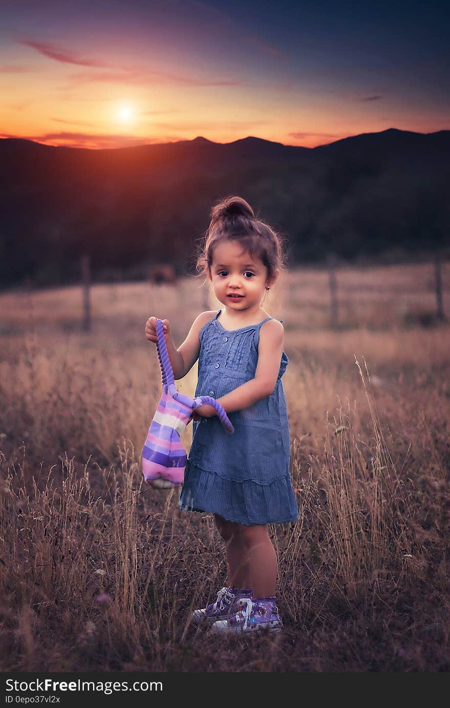 A small girl with a handbag on a grassy field at sunset. A small girl with a handbag on a grassy field at sunset.