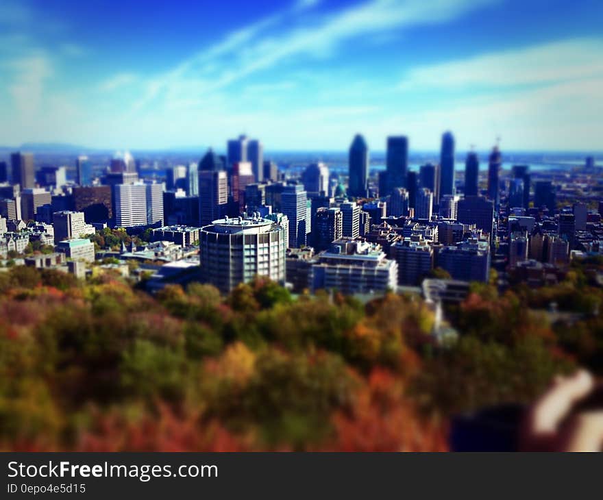 Skyline of modern city over treetops with fall foliage on sunny day. Skyline of modern city over treetops with fall foliage on sunny day.