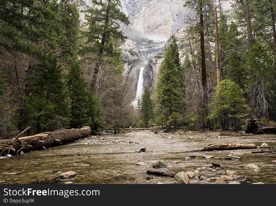 Water Falls Surrounded by Green Leaf Trees