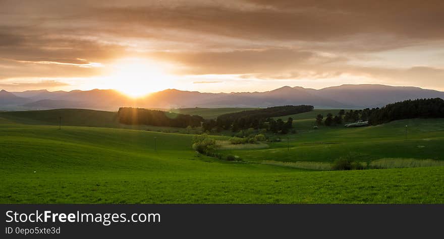 Green Grass Field during Sunset