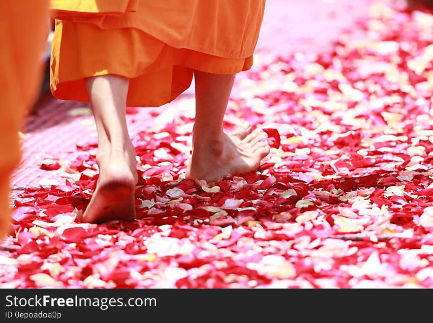 Person Wearing Orange Dress Walking on Petals during Daytime