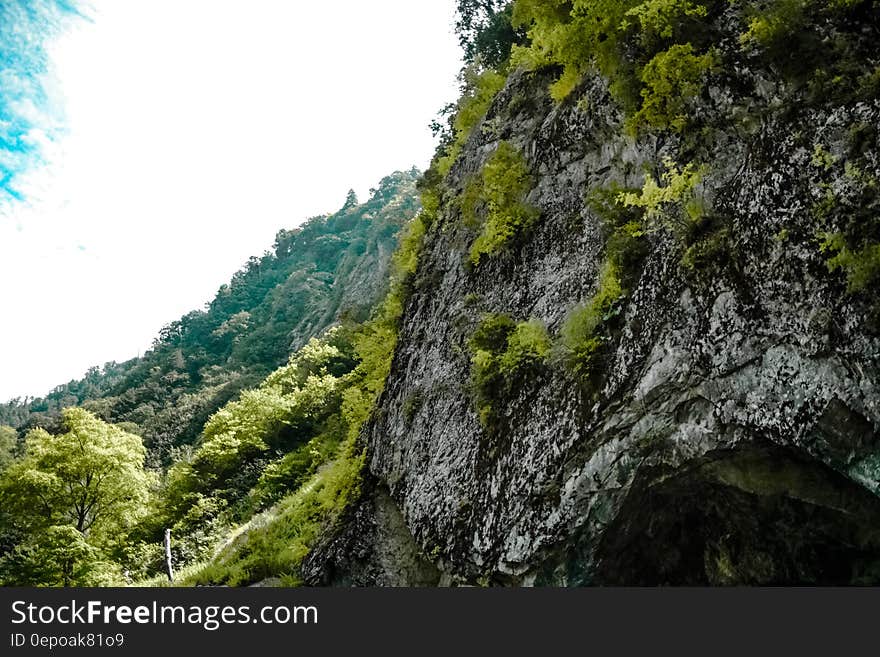 Low Angle Photography of Gray Mountain Side Covered With Green Leaves Under White Sky at Daytime