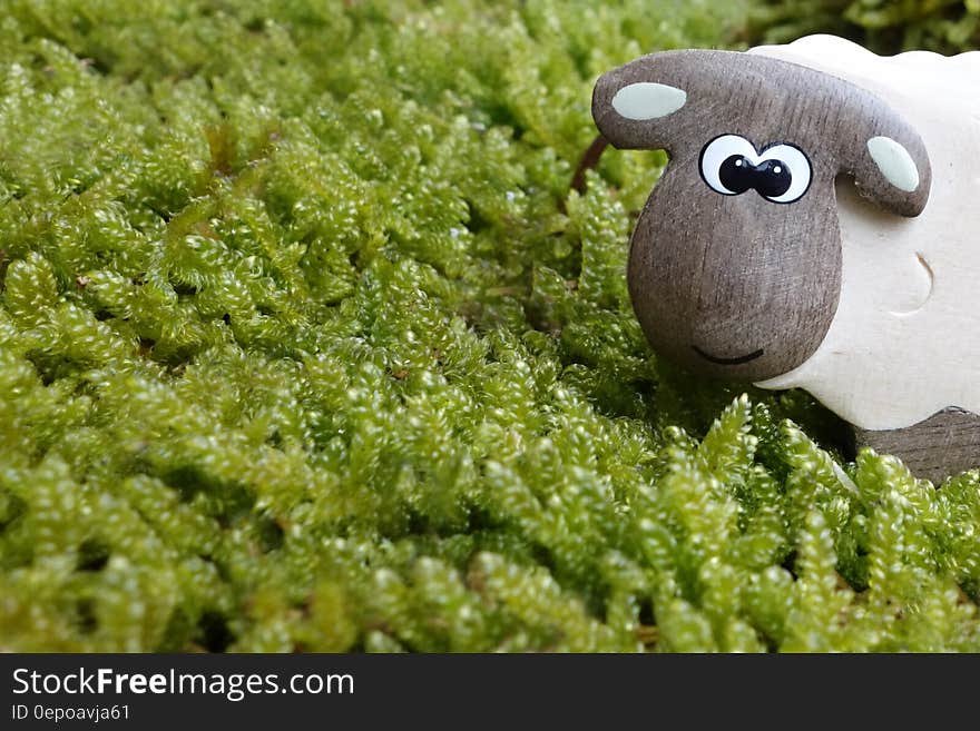 Brown and Gray Sheep to on Green Grass Field Toy