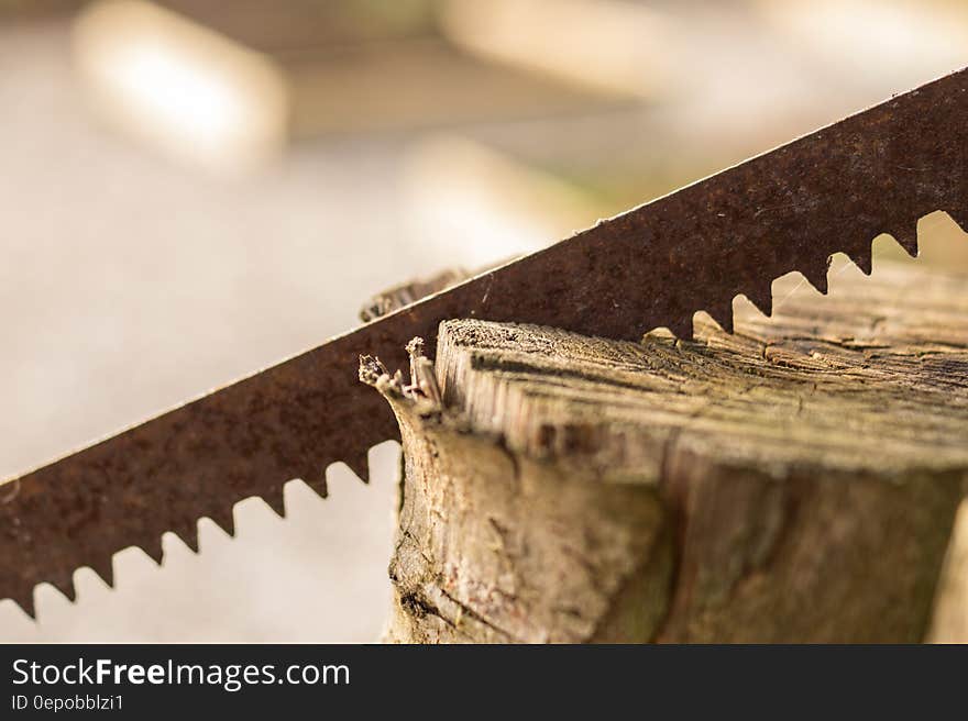 Close up of saw blade in piece of wood. Close up of saw blade in piece of wood.